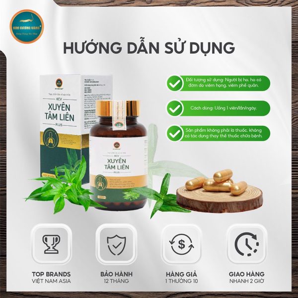 Viên Uống Bổ Phổi Xuyên Tâm Liên