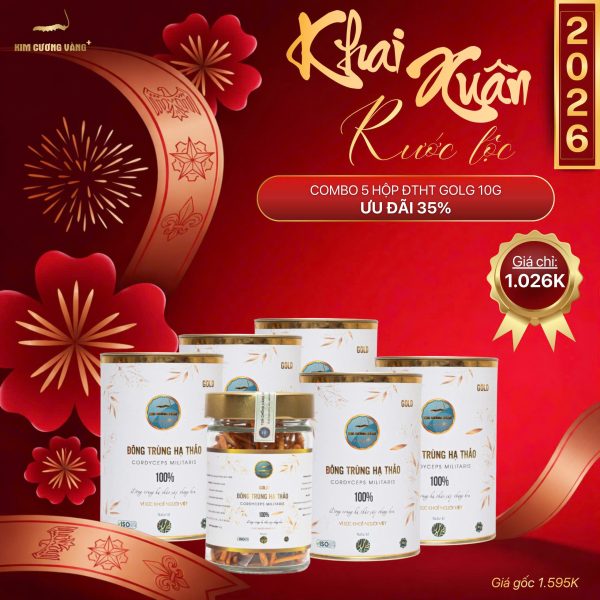 SỐ LƯỢNG CÓ HẠN] Combo 5 Hộp Đông Trùng Hạ Thảo Gold 10g (Tổng 50G)