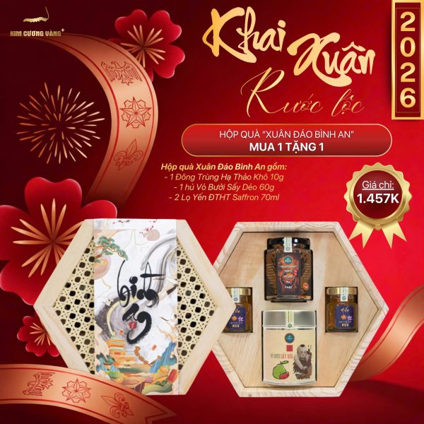 (🔥🔥🔥 MUA 1 TẶNG 1) HỘP QUÀ "XUÂN ĐÁO BÌNH AN"