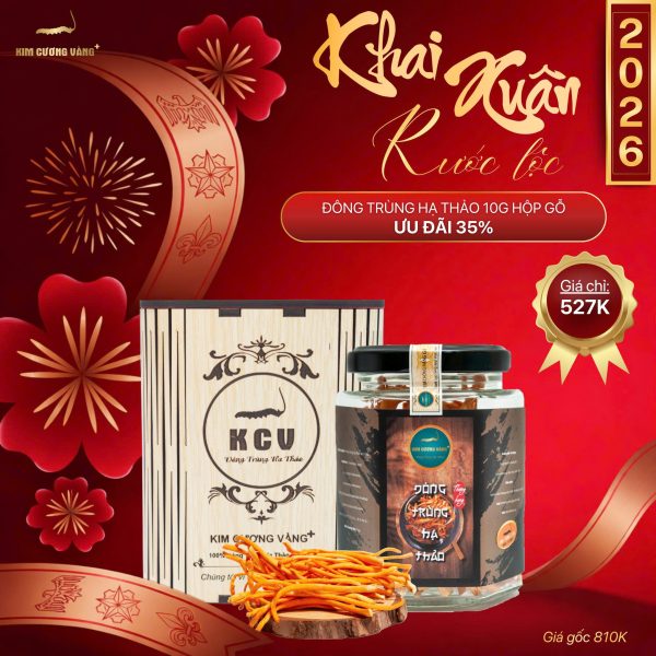 (🔥🔥🔥 ưu đãi 35%) ĐÔNG TRÙNG HẠ THẢO 10G HỘP GIẤY