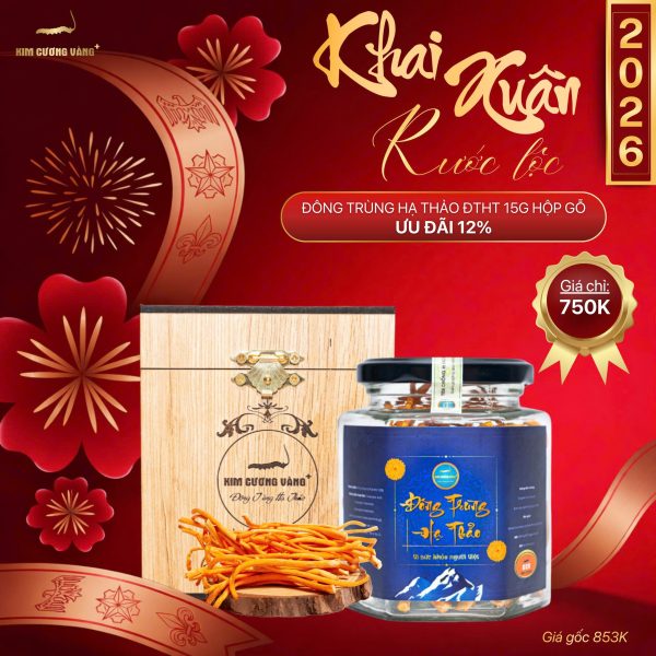 (🔥🔥🔥 ưu đãi 12%) ĐÔNG TRÙNG HẠ THẢO 15G HỘP GỖ