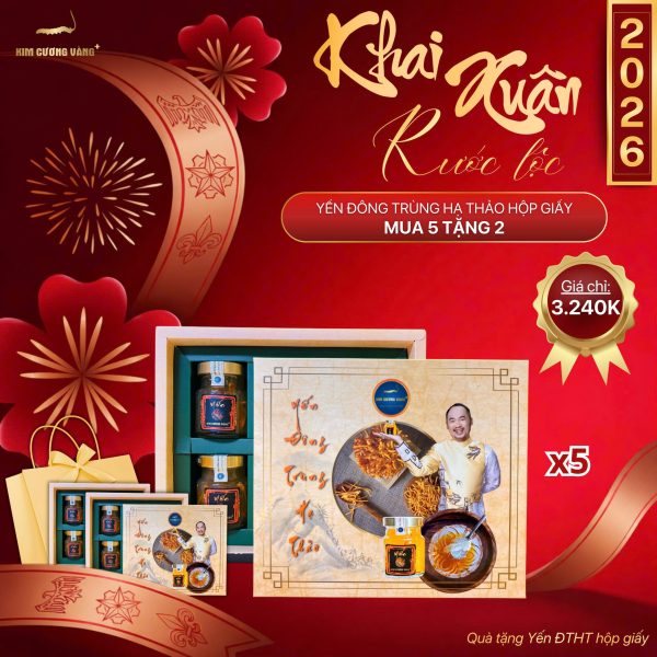 (🔥🔥🔥HOT DEAL XUÂN MUA 5 TẶNG 2) YẾN ĐÔNG TRÙNG HẠ THẢO Hộp giấy