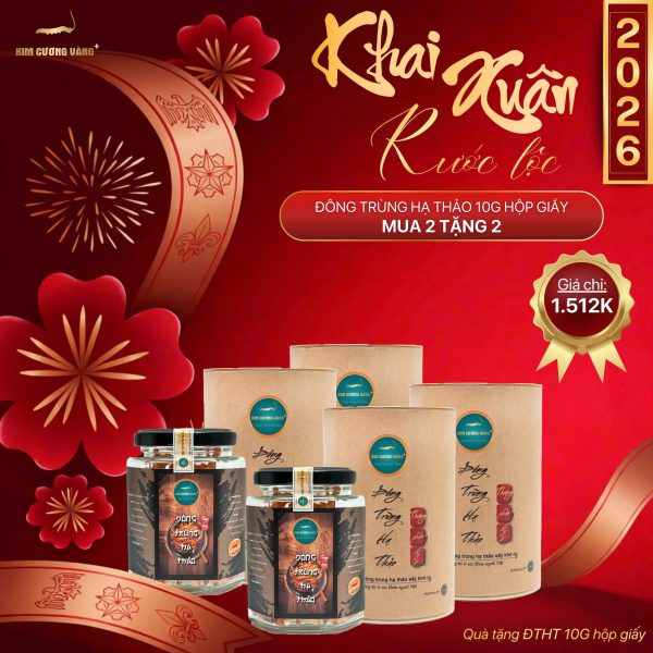 (🔥🔥🔥HOT DEAL XUÂN MUA 2 TẶNG 2) ĐÔNG TRÙNG HẠ THẢO 10G HỘP GIẤY