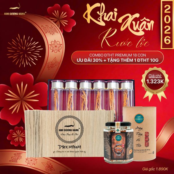 (🔥🔥🔥HOT DEAL XUÂN ƯU ĐÃI 30% + 1 ĐTHT 10G Hộp giấy) - COMBO ĐTHT PREMIUM 18 CON