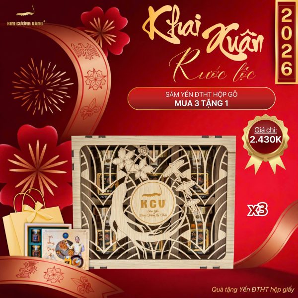 (🔥🔥🔥HOT DEAL XUÂN MUA 3 TẶNG 1) - SÂM YẾN ĐTHT Hộp Gỗ