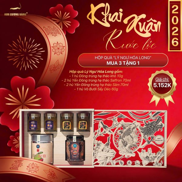🔥🔥🔥 HOT DEAL MUA 3 TẶNG 1 - HỘP QUÀ "LÝ NGƯ HÓA LONG"